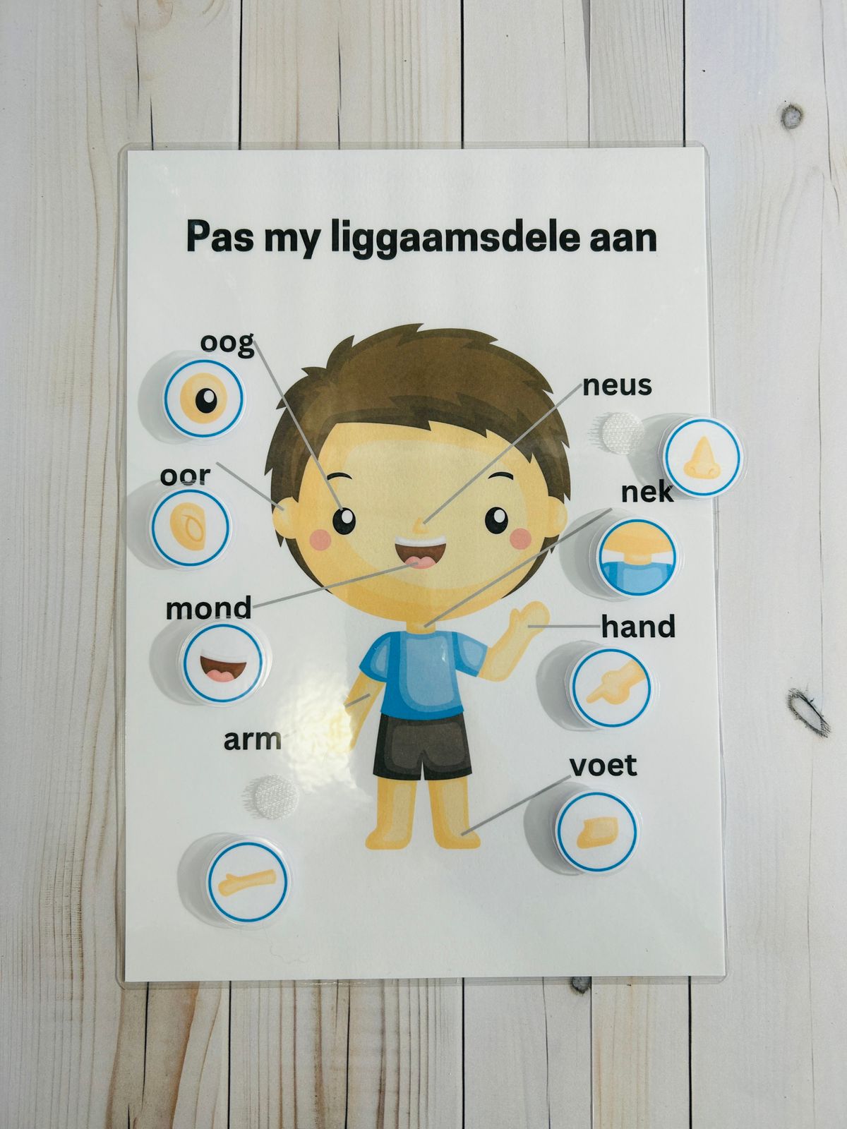 Match the Body Parts - Boy