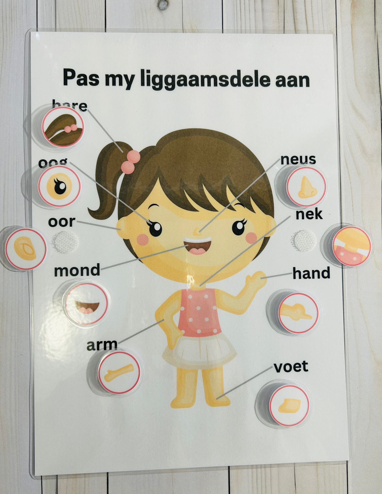 Match the Body Parts - Girl