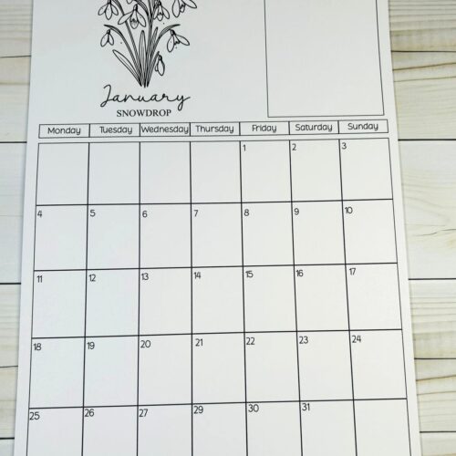 2027 Birth Flower A4 Tear-Off Calendar with Notes Section